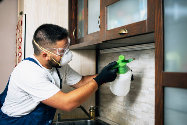 Best Best Pest Control Companies  in Sage, CA