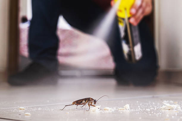 Sage, CA Pest Control Company